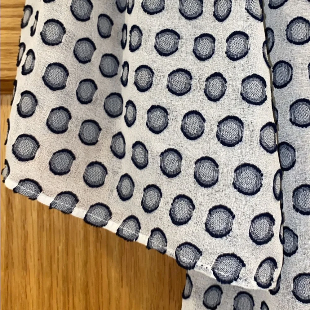 Ann Taylor Polka Dot Blouse - Picture 5 of 10